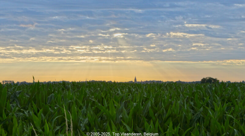 GPS: 50°52'57.45" N 3°2'20.0292" E Altitude: 44,0 m -  -  -   -  -   -  -