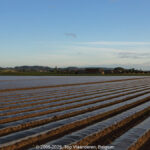 GPS: 50°50'10.968" N 2°48'9.882" E Altitude: 20,7 m -  -  -   -  -   -  -