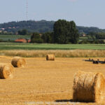 GPS: 50°48'40.32" N 2°36'49.7448" E Altitude: 22,9 m -  -  -   -  -   -  -
