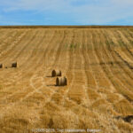 GPS: 50°54'52.8372" N 1°44'1.986" E Altitude: 90,4 m -  -  -   -  -   -  -