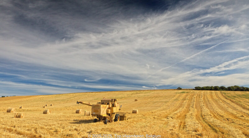 GPS: 50°54'52.8372" N 1°44'1.986" E Altitude: 90,4 m -  -  -   -  -   -  -