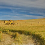 GPS: 50°54'53.7228" N 1°43'56.4672" E Altitude: 75,7 m -  -  -   -  -   -  -