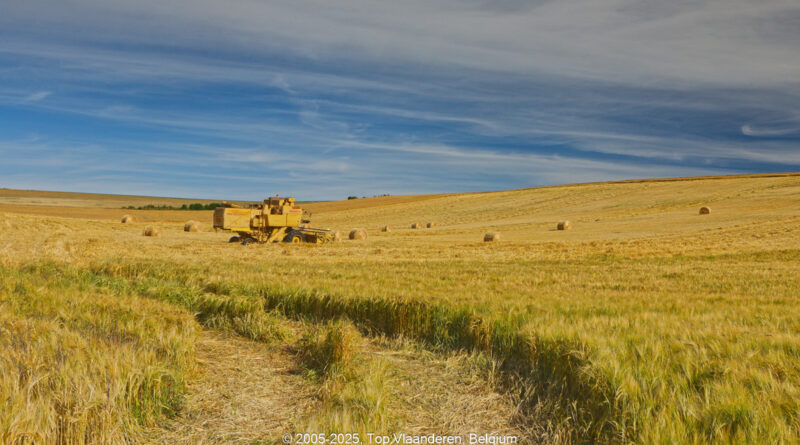 GPS: 50°54'53.7228" N 1°43'56.4672" E Altitude: 75,7 m -  -  -   -  -   -  -