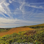 GPS: 50°54'57.7692" N 1°43'26.85" E Altitude: 77,1 m -  -  -   -  -   -  -