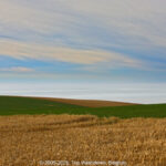 GPS: 50°54'59.5512" N 1°42'47.646" E Altitude: 38,0 m -  -  -   -  -   -  -