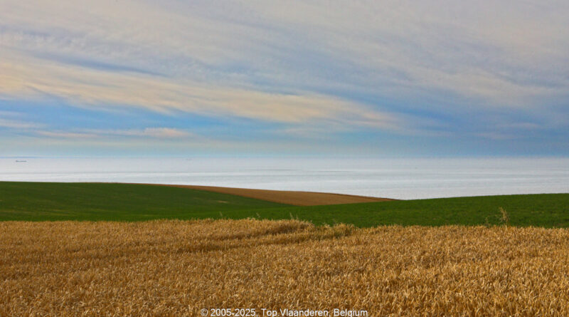GPS: 50°54'59.5512" N 1°42'47.646" E Altitude: 38,0 m -  -  -   -  -   -  -