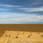 GPS: 50°54'47.0268" N 1°42'8.154" E Altitude: 74,6 m -  -  -   -  -   -  -