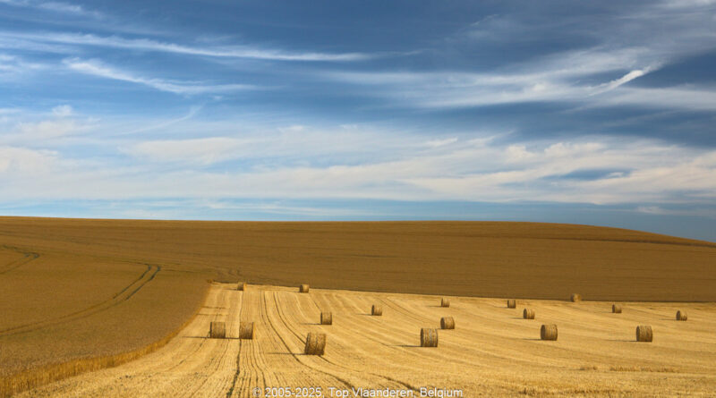 GPS: 50°54'47.0268" N 1°42'8.154" E Altitude: 74,6 m -  -  -   -  -   -  -