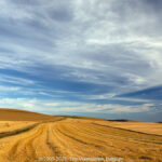 GPS: 50°54'47.0268" N 1°42'8.154" E Altitude: 74,6 m -  -  -   -  -   -  -