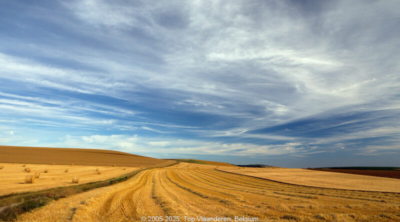 GPS: 50°54'47.0268" N 1°42'8.154" E Altitude: 74,6 m -  -  -   -  -   -  -