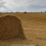 GPS: 50°47'36.6108" N 2°7'24.816" E Altitude: 61,7 m -  -  -   -  -   -  -