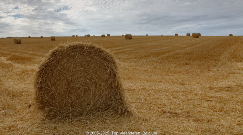 GPS: 50°47'36.6108" N 2°7'24.816" E Altitude: 61,7 m -  -  -   -  -   -  -