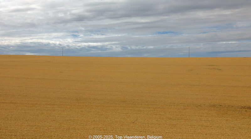GPS: 50°47'4.632" N 2°5'3.9372" E Altitude: 86,7 m -  -  -   -  -   -  -
