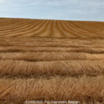 GPS: 50°47'35.8188" N 2°5'3.192" E Altitude: 75,6 m -  -  -   -  -   -  -