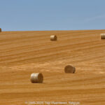 GPS: 50°46'32.6892" N 2°6'2.286" E Altitude: 80,5 m -  -  -   -  -   -  -