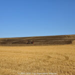 GPS: 50°46'41.7972" N 2°7'38.928" E Altitude: 72,9 m -  -  -   -  -   -  -