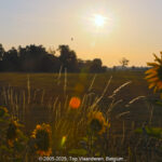 GPS: 50°51'41.958" N 2°51'25.794" E Altitude: 26,8 m -  -  -   -  -   -  -