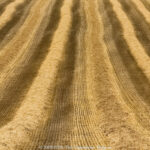 GPS: 50°47'3.5772" N 2°8'13.4772" E Altitude: 135,8 m -  -  -   -  -   -  -