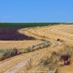 GPS: 50°46'46.7148" N 2°7'48.0252" E Altitude: 89,8 m -  -  -   -  -   -  -