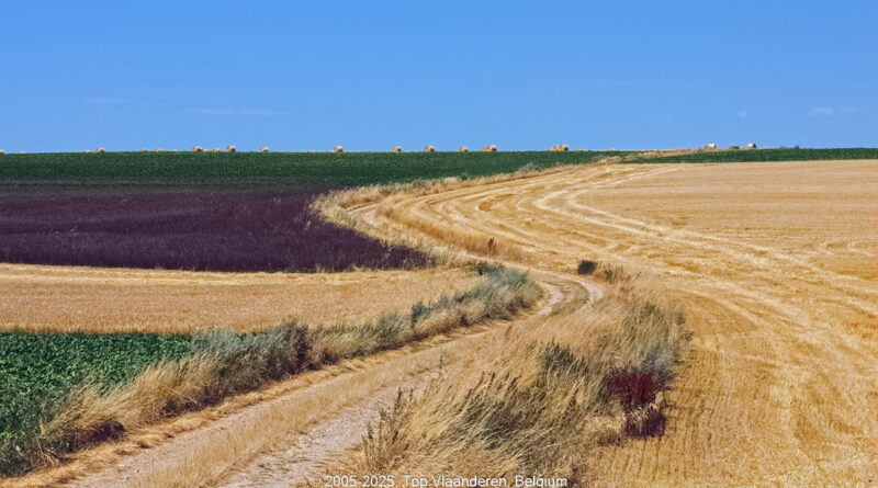 GPS: 50°46'46.7148" N 2°7'48.0252" E Altitude: 89,8 m -  -  -   -  -   -  -