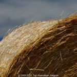 GPS: 50°47'15.09" N 2°5'29.544" E Altitude: 88,2 m -  -  -   -  -   -  -