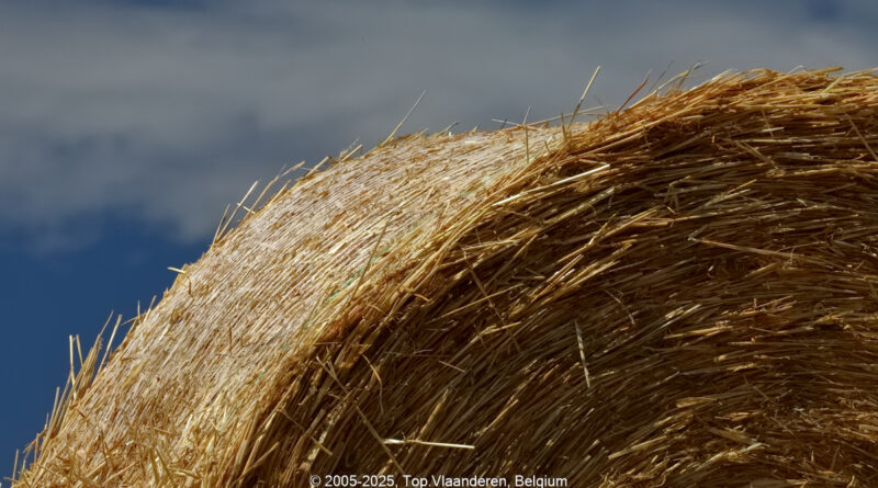 GPS: 50°47'15.09" N 2°5'29.544" E Altitude: 88,2 m -  -  -   -  -   -  -