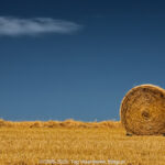 GPS: 50°47'21.3252" N 2°5'38.6592" E Altitude: 92,7 m -  -  -   -  -   -  -