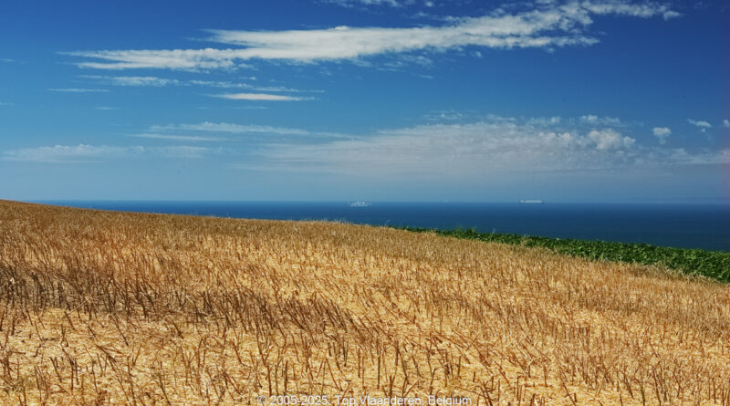GPS: 50°54'50.8572" N 1°43'26.2452" E Altitude: 50,3 m -  -  -   -  -   -  -