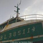 GPS: 50°31'1.0128" N 1°37'55.1028" E Altitude: 9,8 m -  -  -   -  -   -  -