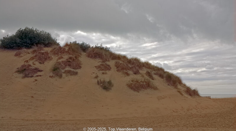 GPS: 50°24'51.6492" N 1°35'22.0272" E Altitude: -0,6 m -  -  -   -  -   -  -
