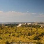 GPS: 50°52'13.6848" N 1°42'16.2432" E Altitude: 137,1 m -  -  -   -  -   -  -
