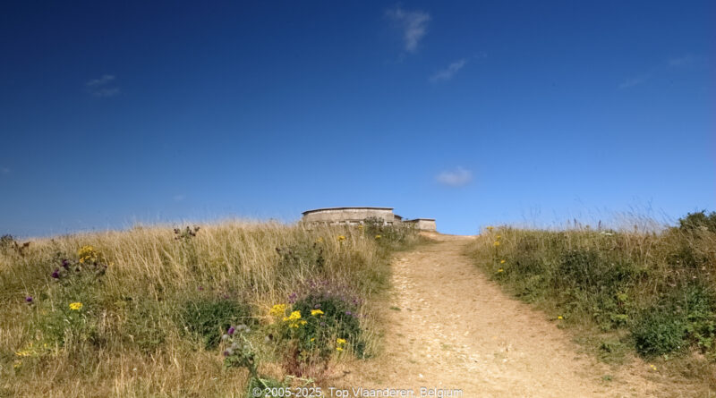 GPS: 50°52'13.512" N 1°42'16.5132" E Altitude: 158,4 m -  -  -   -  -   -  -