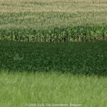 GPS: 50°50'19.9968" N 2°38'39.1128" E Altitude: 21,7 m -  -  -   -  -   -  -