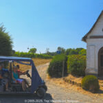 GPS: 50°47'2.958" N 2°45'12.4308" E Altitude: 85,5 m - België -  -  Heuvelland -  -   -  -