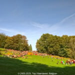GPS: 50°47'7.5552" N 2°40'0.4872" E Altitude: 112,3 m -  -  -   -  -   -  -