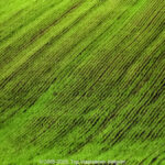 GPS: 50°46'55.056" N 2°47'49.6788" E Altitude: 51,6 m -  -  -   -  -   -  -