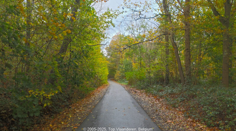 GPS: 50°47'39.6168" N 2°52'27.696" E Altitude: 31,4 m -  -  -   -  -   -  -