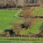 GPS: 50°46'9.2208" N 2°47'22.704" E Altitude: 42,7 m -  -  -   -  -   -  -