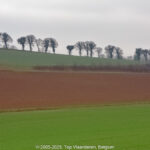 GPS: 50°28'41.1132" N 1°47'21.0192" E Altitude: 25,1 m -  -  -   -  -   -  -