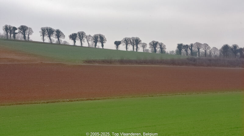 GPS: 50°28'41.1132" N 1°47'21.0192" E Altitude: 25,1 m -  -  -   -  -   -  -