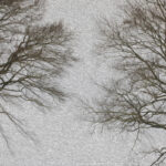GPS: 50°52'48.1332" N 3°1'47.5068" E Altitude: 29,7 m -  -  -   -  -   -  -