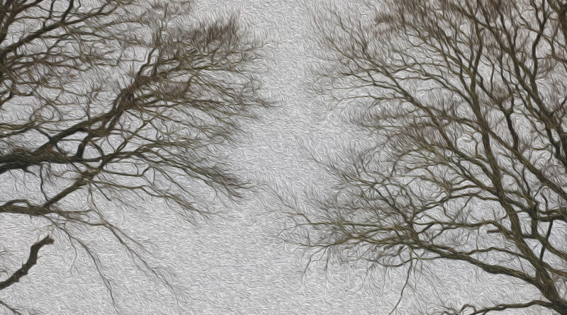 GPS: 50°52'48.1332" N 3°1'47.5068" E Altitude: 29,7 m -  -  -   -  -   -  -