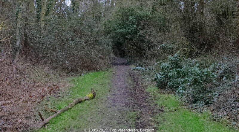 GPS: 50°44'39.0948" N 2°47'31.5492" E Altitude: 73,3 m -  -  -   -  -   -  -