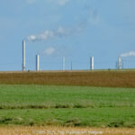 GPS: 50°45'16.416" N 2°53'36.2832" E Altitude: 8,7 m -  -  -   -  -   -  -
