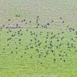 GPS: 50°44'20.292" N 2°47'38.4252" E Altitude: 37,1 m -  -  -   -  -   -  -