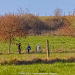 GPS: 50°44'20.292" N 2°47'38.4252" E Altitude: 37,1 m -  -  -   -  -   -  -