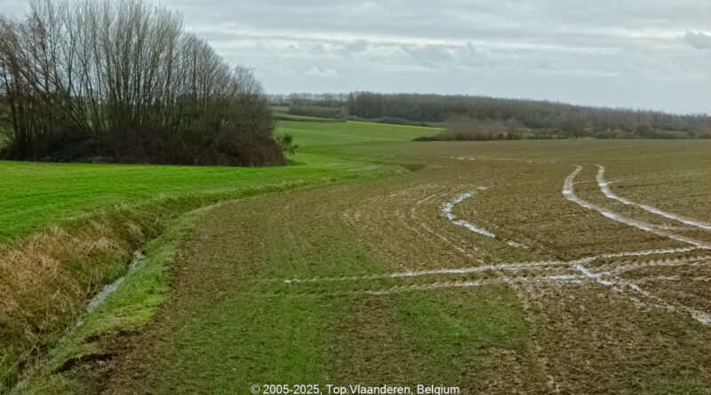 GPS: 50°46'43.1868" N 2°46'9.5088" E Altitude: 70,7 m -  -  -   -  -   -  -