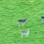GPS: 50°46'41.4768" N 2°48'45.2628" E Altitude: 154,5 m -  -  -   -  -   -  -