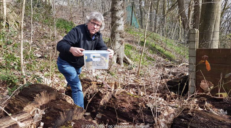 GPS: 50°45'51.9984" N 2°48'21.9996" E Altitude: 0,0 m - België -  -  Heuvelland -  -   -  -