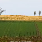 GPS: 50°47'39.408" N 2°48'45.6912" E Altitude: 113,7 m -  -  -   -  -   -  -